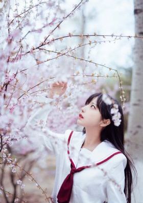 新流星花园_1080免费在线播放
